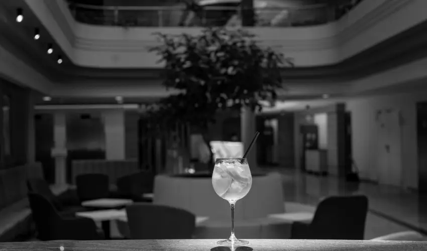 Airport Hotel Budapest Vecs�s