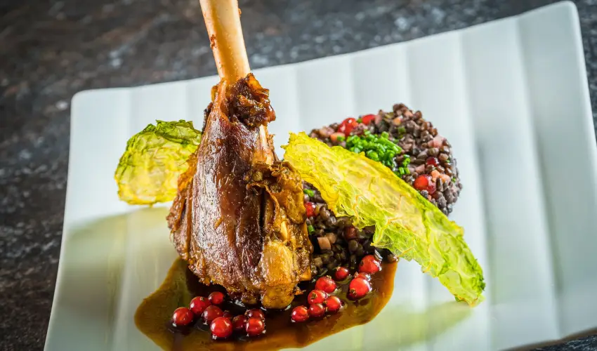 Bonvital Wellness & Gastro Hotel Hvz Hvz