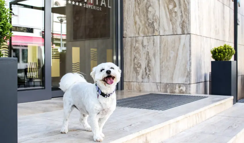 Bonvital Wellness & Gastro Hotel Hvz Hvz