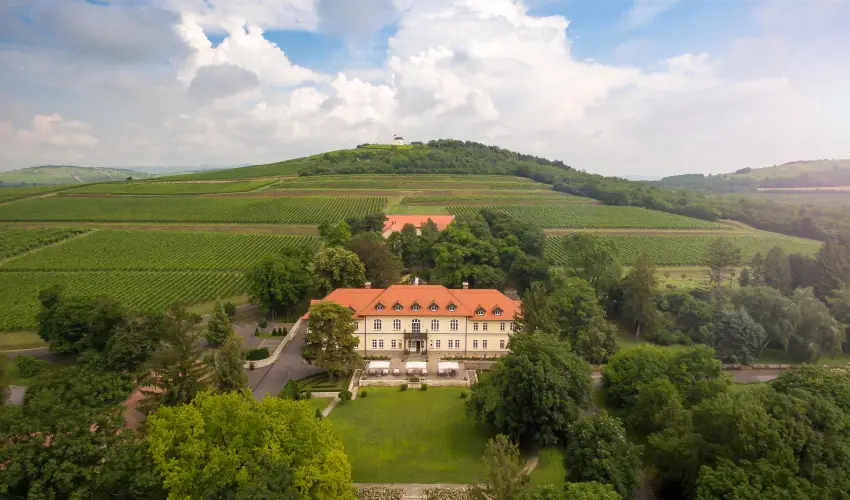 grf Degenfeld Kastlyszll Tarcal