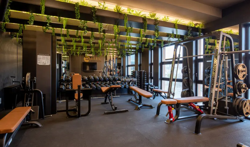 Hotel Bodrog Wellness & Elix Spa S�rospatak