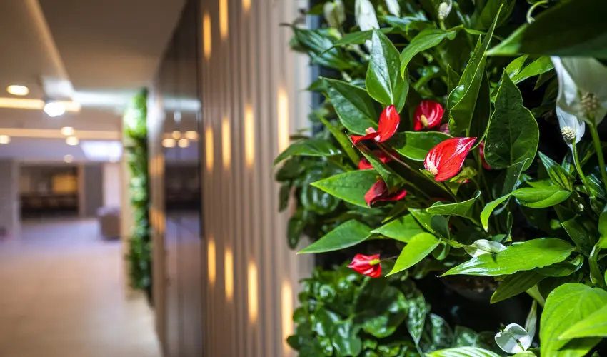 Greenfield Hotel Golf & Spa Bk, Bkfrd?