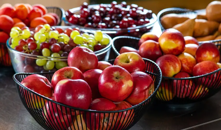 Lifestyle Hotel Mtra Mtrahza