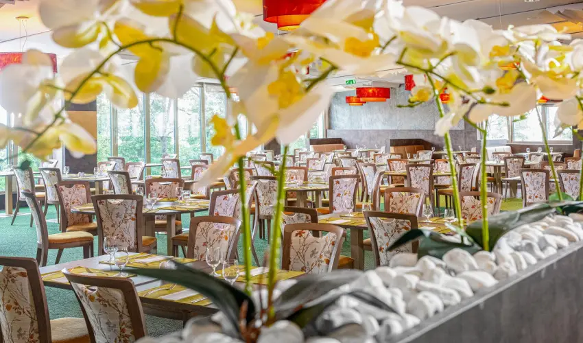 Lifestyle Hotel Mtra Mtrahza