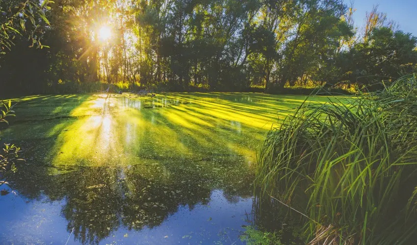 Park Inn by Radisson Zalakaros Resort & Spa Zalakaros