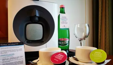 Thermal Hotel Visegrd Visegrd