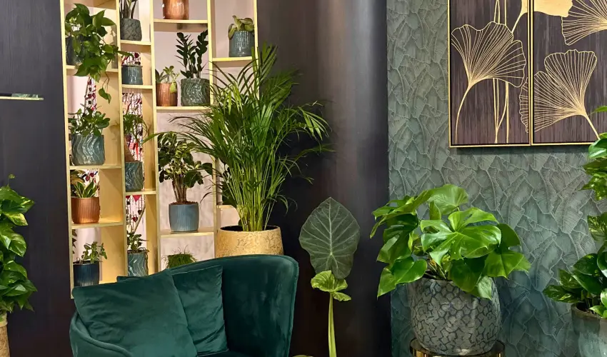 Hotel Wellamarin Zamrdi