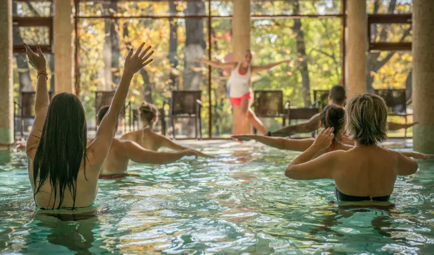 Wellness Hotel Gyula Gyula