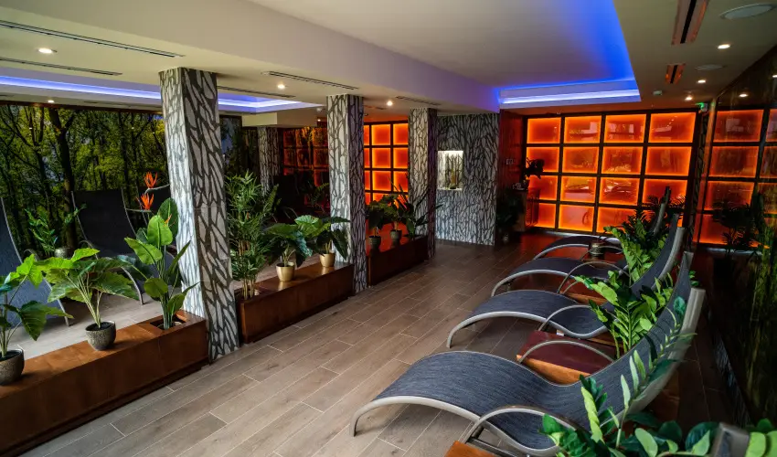 Wellness Hotel Gyula Gyula