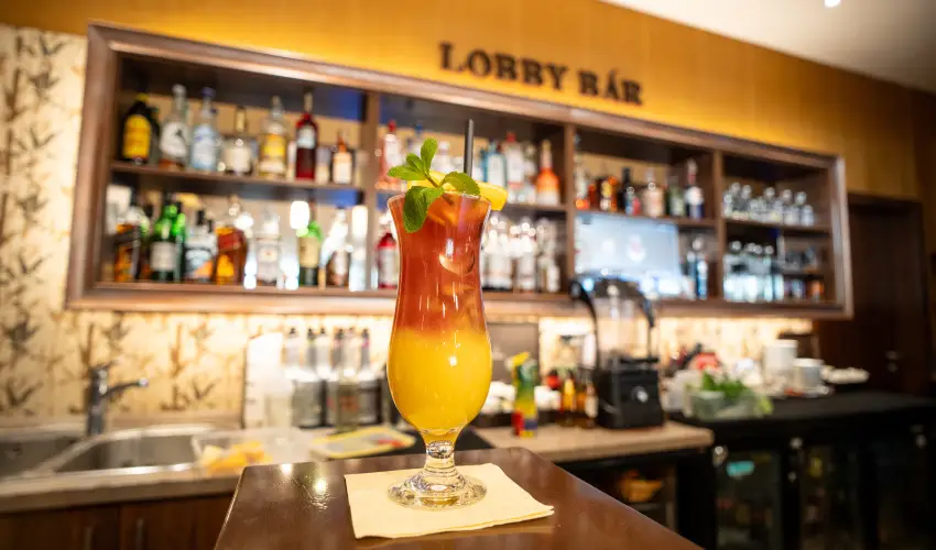 Wellness Hotel Gyula Gyula