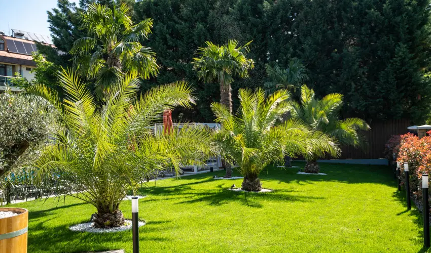 Wellness Hotel Gyula Gyula