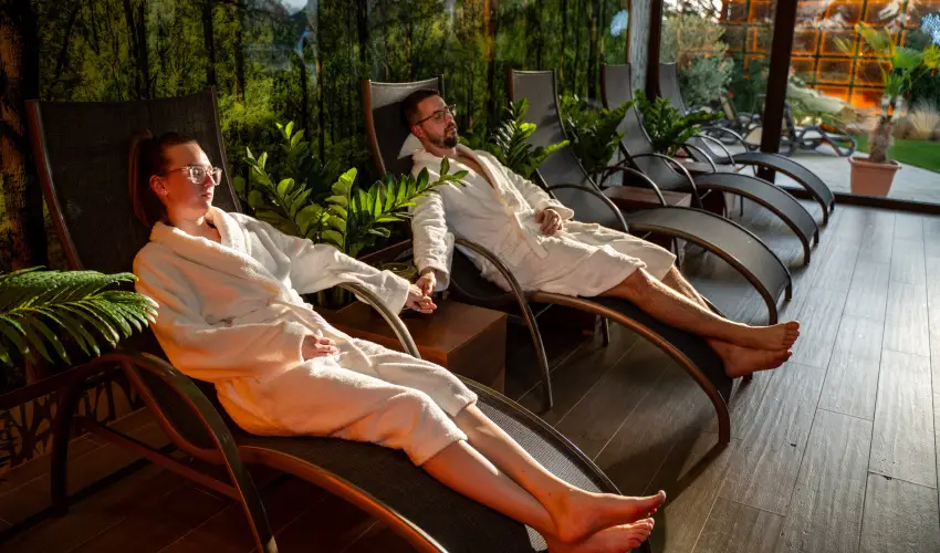 Wellness Hotel Gyula Gyula