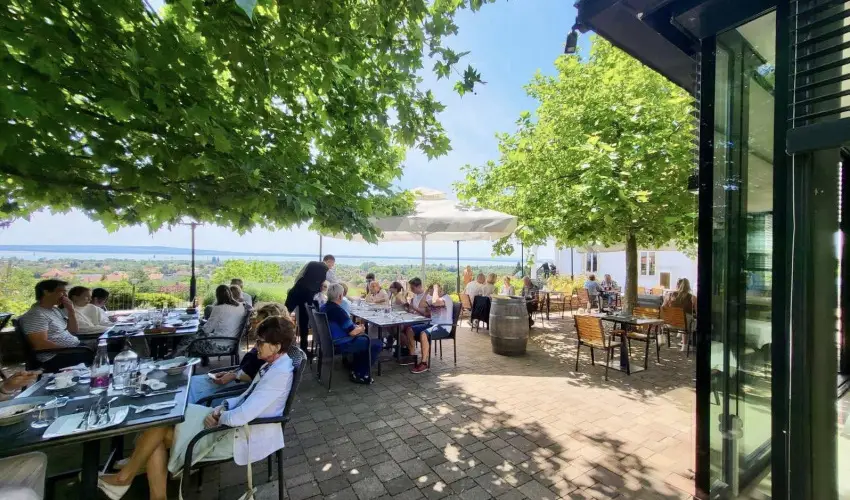 Zenit Hotel Balaton Vonyarcvashegy